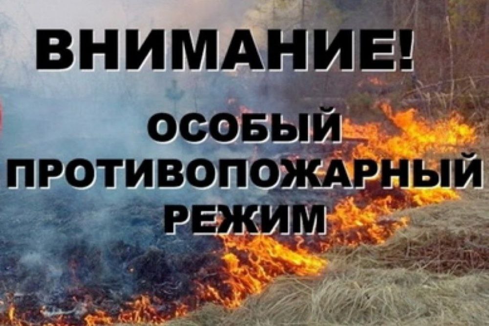 С 25 апреля 2024 года в на территории Мелитопольского муниципального округа введен противопожарный режим..